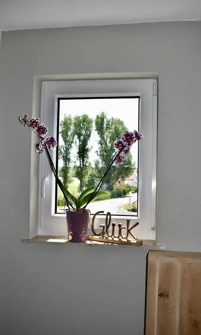 Haus Erna Villa Altmannsdorf Holiday home
