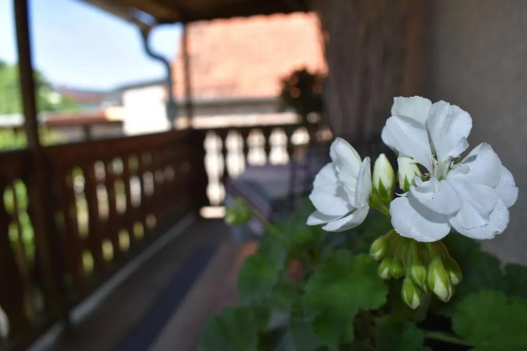 Holiday home Haus Erna Villa Altmannsdorf Germany